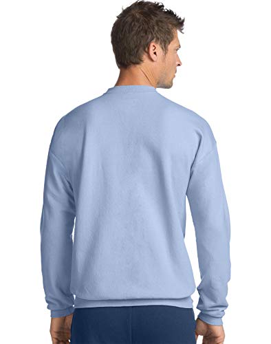 Hanes Men's P16072