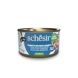 Schesir