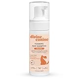 Divine Canine Foam Dog Paw Cleaner - 8.4 Fl Oz of Alcohol Free Foaming Paw Sanitizer Spritz - Made with Coconut, Aloe, Copaiba Oil, and Lemongrass Oil to Nourish and Clean Paws - Made in The USA