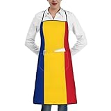 fdgbnm Schürze mit Flagge von Rumänien. Hochwertig, wasserdicht, mit Tasche. 100 % Polyester, knitterfrei, für Küche, Grill, Café, Salon.