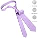 CHEIVEMENG Lavender Ties For Men 2 Pieces Solid Pure Color Formal Neckties 3.15