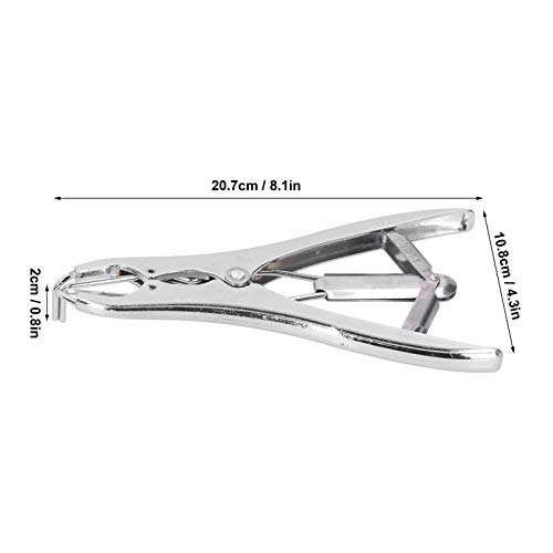 AMONIDA Strumento per Palloncini con Paillettes