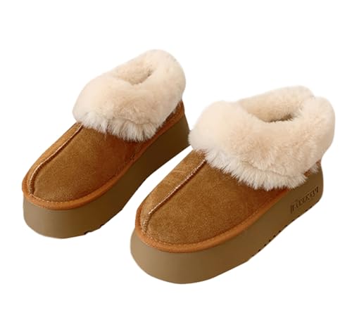 [v`mrghw] V[gu[c fB[X 6cmq[  [g Xm[u[c  {A 킢 XG[h h ۉ hC g ~ C ʋ ʊw H~ AEghA(23.5L)