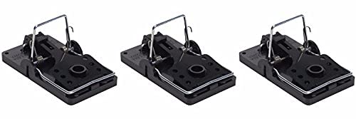 Kness unknown Big Snap E Rat Trep 3 Pack, Black