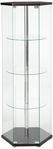 Hexagon Shaped Curio Cabinet Black and Clear