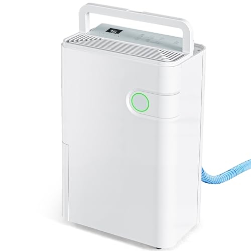 best whole house dehumidifier