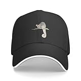 Photo Gallery cizieoe cappellino da baseball southern greater glider berretto da baseball cappelli natalizi cappello carino da uomo e da donna regalo Photo Gallery cizieoe cappellino da baseball southern greater glider berretto da baseball cappelli natalizi cappello carino da uomo e da donna regalo