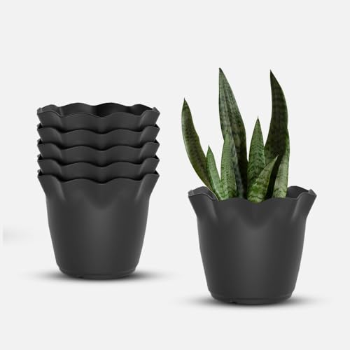 Image of YUCCABE ITALIA SHERA Flower Plastic Flower Pot Unbreakable Round Shape Planter with Drainage Holes Planter Suitable for Home Garden Seedling Indoor and Outdoor (Grey, 8 INCH - 6 Pcs)