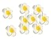 Healthcom Premium Hawaiian Foam Flower White Artificial Plumeria Rubra For Beach,Wedding Party Decoration,Package of 100