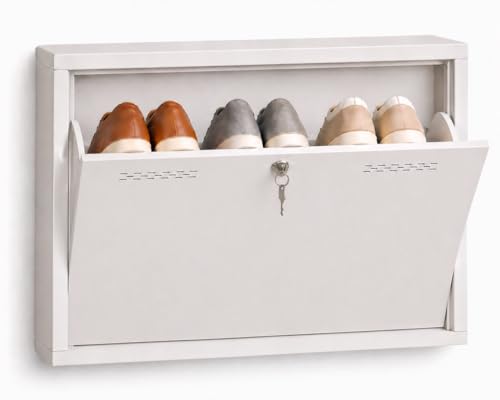 Image of Metal Shoe Cabinet with Doors and Lock, Wall Mount Shoe Rack, Space Saving Organiser Stand for Home (Black, 1 Door Rack)