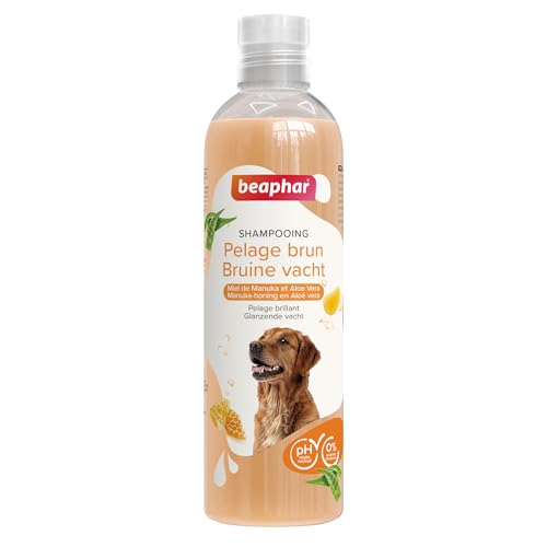 BEAPHAR - Essential Brown Peeling Hunde Shampoo - Extra fein - Glänzendes Fell - Enthält Manuka Honig und Aloe Vera - Parabene und Silikon - pH neutral - 250 ML