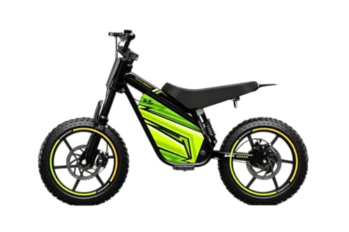 Eahora EM36 Electric Dirt Bike for Kids, 800W Motor