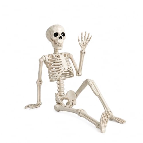 Halloween Skeleton Decorations,36" Posable Human Skeleton Decorations for Halloween Party Decor, Haunted House Props Indoor Outdoor Decoration - image 1