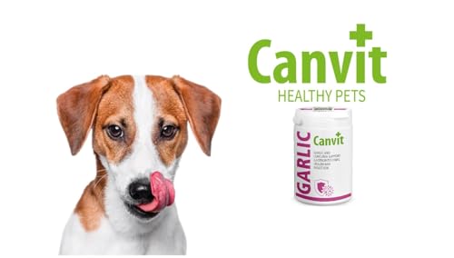 Canvit Knoblauchtabletten für Hunde & Katzen | Nahrungsergänzungsmittel Hunde mit Curcuma Unterstützung | Immununterstützung für Hund | Vitiman B12 Magen-Darm-Gesundheit und Verdauungsunterstützung |