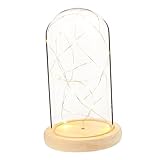 Uonlytech Silver Flower Night Light Glass Dome Table Lamp Flower Dome Lamp Desktop Glass Dome Lamp Glass Dome with Fairy Lights Glass Rose Glass Night Led Night Light Wood Wedding