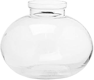 Hill 1975 Large Fish Bowl Glass Vase, Multi-Colour, One Size