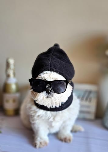 Disfraz set retro para perro pequeño a mediano miniatura 7