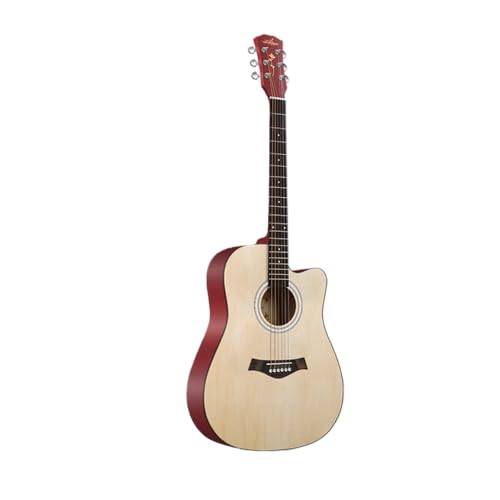 Damika ARM S҃Zbg 38C` 41C` ql܂ AR[XeBbNM^[ StiZbg e₷݌v KpM^[ w lp ([AbvO[h] 41C` i`EbhJ[ + pbP[W + `[g