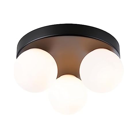 Paulmann Plafonnier Salle de Bain Cover