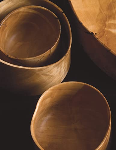 Celebrating Birch: The Lore, Art, and Craft of an Ancient Tree (Fox Chapel Publishing) Woodcarving Projects, Legends, Folklore, History, and the Importance of Birch Trees, Wood, Bark, and Sap - Image 3