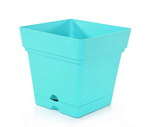 Mintra Home Garden Pots, Square, Colorful, Flower Pot, Planter, (6.5Inw X 6.75Inh) (Teal) #TOP4