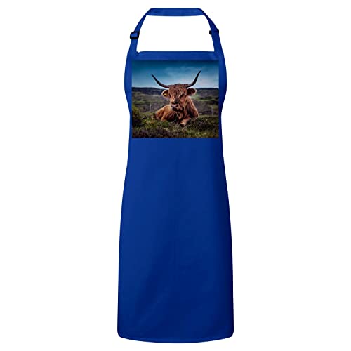 Tablier cuisine bleu Taureau Highland magnifique photo nature