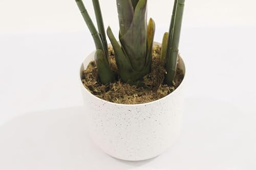 Image of Garden Art Artificial Traveller's Palm Plant with White Pot | 120 cm Real Touch Natural Looking Indoor Plant for Home, Office & Living Room Decor | 12 Leaf Branches (GAJW3538)
