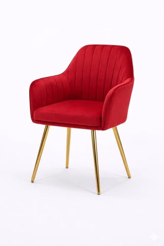 Image of Accent Chairs for Living Room | Modern Armchair in Velvet Fabric with Golden Legs | Pack of 1 Chair for Home, Office, Restaurent, Cafe (Red)
