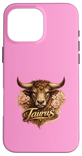 ������ �u�� 2.0 �t���[���� �X�}�z�P�[�X iPhone 16 Pro Max �p