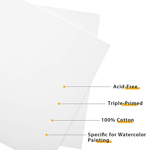 Phoenix Watercolor Canvas Panels 12X12 Inch, 6 Pack - 8 Oz Triple Primed 100% Cotton Acid Free Canvases For Painting, Blank Flat Canvas Boards For Watercolor, Acrylic, Gouache & Tempera Painting #TOP1