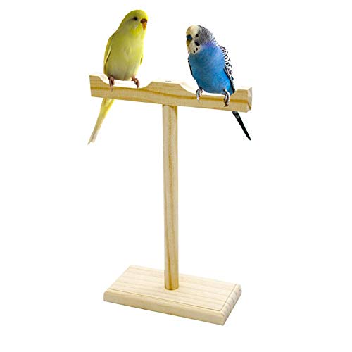 Western Era Training Cum Exercise Playful Perch Wooden Bird Stand/Bird Toy (1 Piece). (B0878V5JP6) Amazon Price History, Amazon Price Tracker