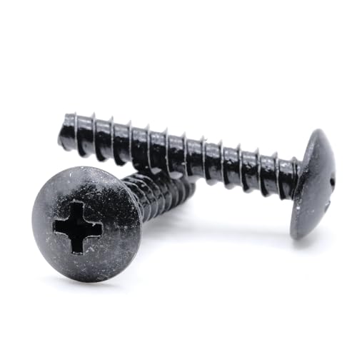 Tornillos Autorroscantes ST5 x 25mm Pan Phillips Pack 10 miniatura 6