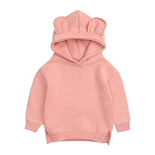 Toddler Baby Boy Girl Hooded Sweatshirt Hoodie Long Sleeve Pullover Kids Basic Solid Sports Tops Fall Winter Outfit