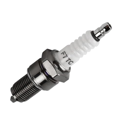 Stecker kompatibel mit GCV160 GCV190 GX120 GX160 GX200 GX240 GX270 Generator Rasenmäher Kreiselfräse Wasserpumpe Kart Universal(10PCS)