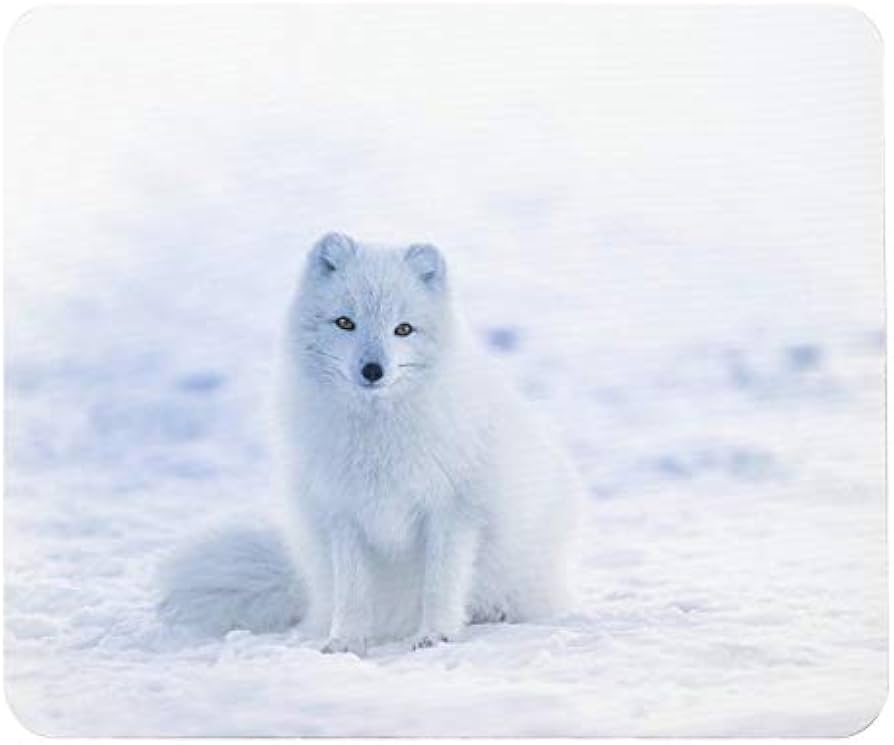 ジョンヒョン 写真集 写真、マウスパッド ジョンヒョン 写真集 写真、マウスパッド ジョンヒョン 写真集