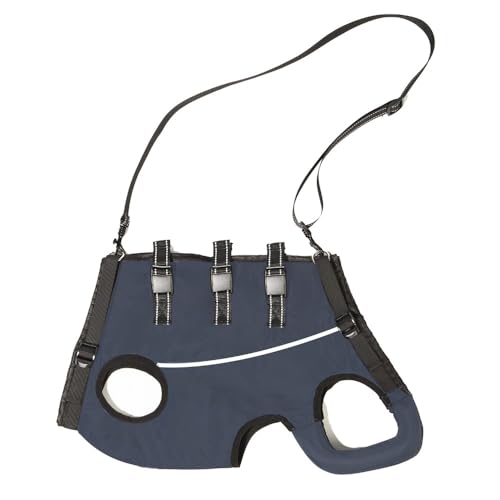   n[lX s⏕߉\ 傫ȊJt  U VObY ㎈̊֐߉Ap̃nrEFA (Si8`15ҁj)