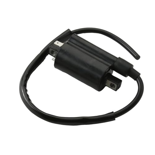 Bobina de encendido para solucionar fallos de aceleración en Ducati 750 y 900 5