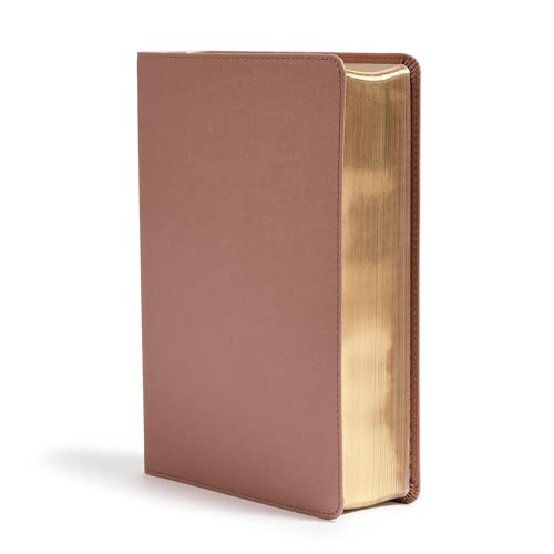 CSB She Reads Truth Bible, Rose Gold LeatherTouch, Black Letter, Full-Color Design, Wide Margins, Journaling Space, Devotionals, Reading Plans, Single-Column, Easy-to-Read Bible Serif Type