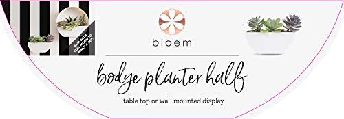 Bloem Bodye Half Moon Wall Mounted Hanging Planter 11" Charcoal Gray (Bod11908-Hm) #TOP6