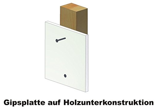 Magazinierte Schnellbauschrauben mit Grobgewinde 3,9 x 25 mm - 10 Schachteln