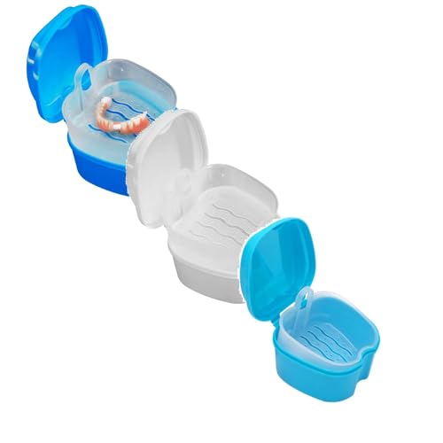 TEEKU Caja falsa de almacenamiento para dentaduras postizas con dientes para colgar herramientas y mejoras para el hogar brillante (azul oscuro, 1 blanco, 1 azul, 1 talla única, 1 talla única)