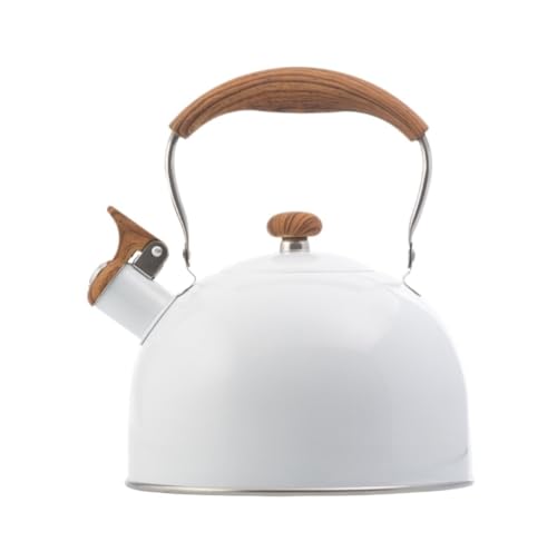 Teakettle de cuisine en inox pour préparer le thé du matin sur votre poêle