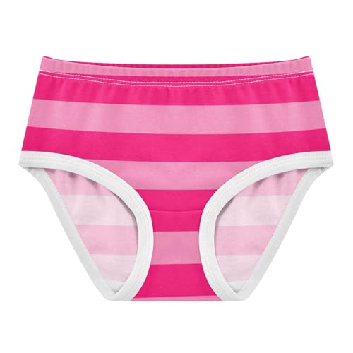 Gradient Pink Stripe Toddler Girls's Underwear 2T