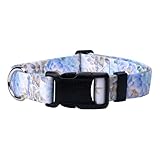 Country Brook Petz - Premium Blue Peonies Dog Collar - Spring Collection Featuring Springtime Designs (1 Inch, Extra Large)