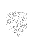 ABRUPT
