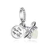 IBAGKE 925 Sterling Silver Dangle Charm Beads Pendants Fit for Original European Bracelets Charms DIY Jewelry birthday Gift for Women (night glow firefly dangle)