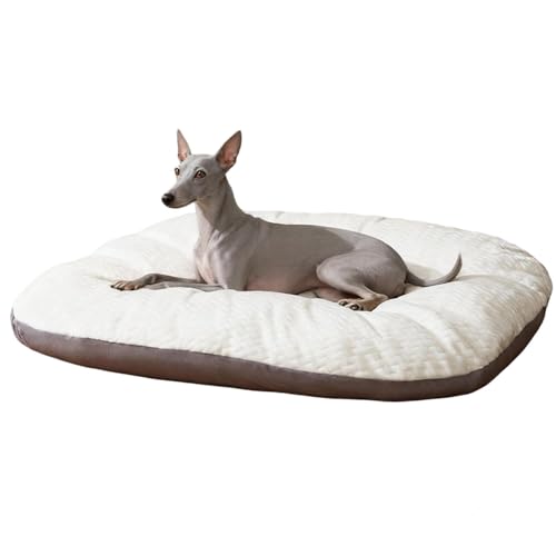 Lifetips C^AO[nEh ybgxbh  L \t@ NbV 􂦂Jo[ h  ӂӂ 傫 I[V[Y ~ y ϋv ᔽ ʋC  R hL h_j ې OȒP p 