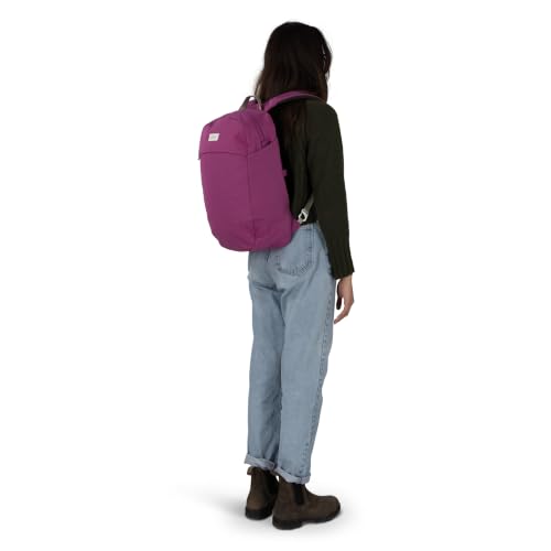 Image of Osprey Arcane Large Day Shiso Purple Heather OS