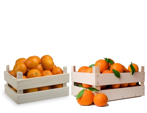 Naranjas y Mandarinas Frescas Directas del Árbol | Sin Tratamientos Postcosecha | Packs 4,5,9, 4, 28 y 42 kg | Envío 24/48h | Fruta Natural Valenciana (Pack Naranjas 9 Kg + Mandarinas 5 Kg)