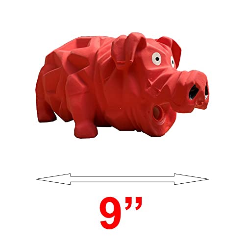 Pet Supplies : Multipet Latex Grunting Toy Bundle Color:Globken